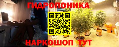 mix Можга