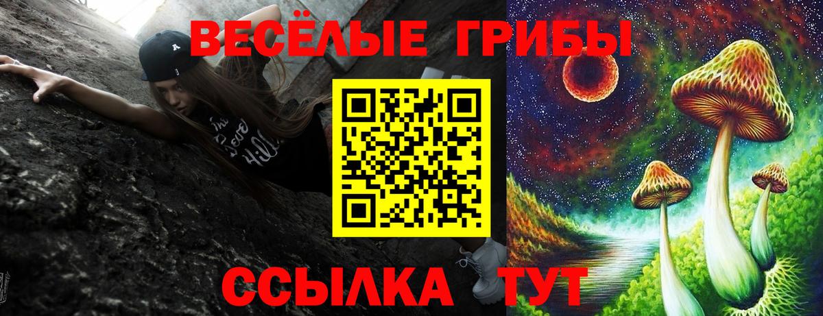 Галлюциногенные грибы мухоморы Чусовой